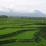 The site of Bali Silent Retreat near Tabanan